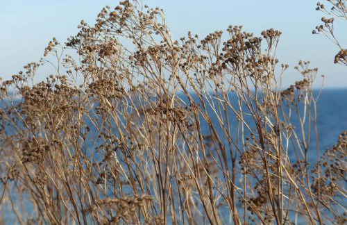 Loft Sierksdorf - Foto 24