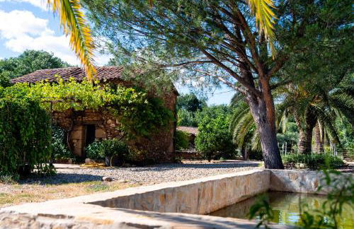 Finca MOLINO DE JARANDA - Foto 24