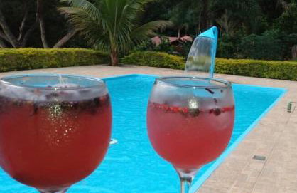 Nosso cantinho, Pedaço do paraíso na Natureza - Photo 16