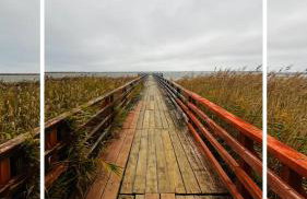 Widać Wydmy - Foto 77