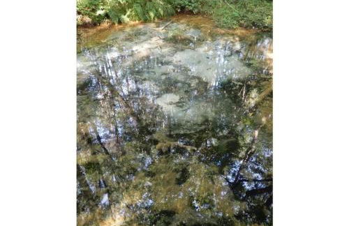 detached holiday home Kasch - Foto 23