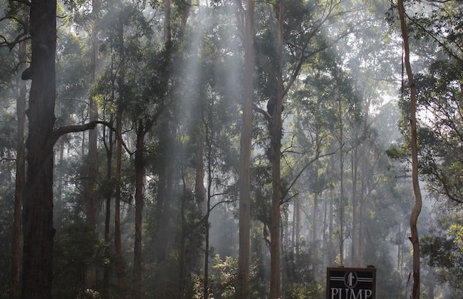 Pump Hill Farm Cottages - Photo 69