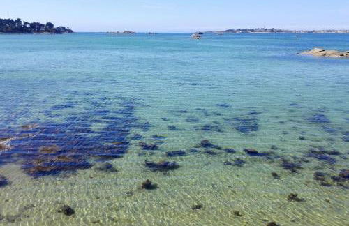 Roscoff 2 pièces classé 2 étoiles et terrasse centre historique - Foto 14