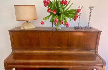 Villa Monferrina - Pool - Unesco Heritage - Photo 75