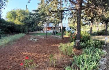 Casa Fonte - Foto 13