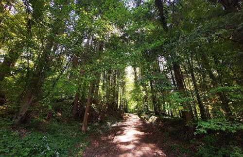 Tiny House mit eigener Sauna am Waldrand in der Fränkischen Schweiz - Foto 22