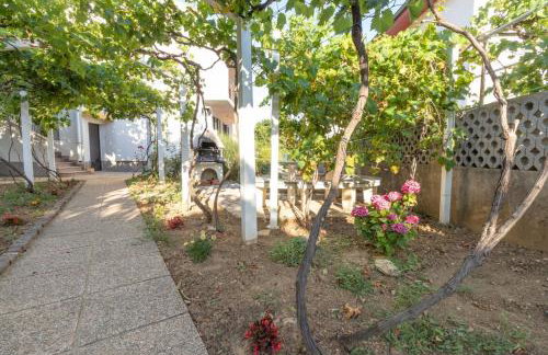 CAPTAIN MIRO - Foto 3