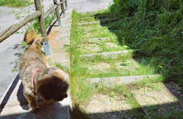 La Frisanfave, Maison de village, centre 65M2 - Photo 42