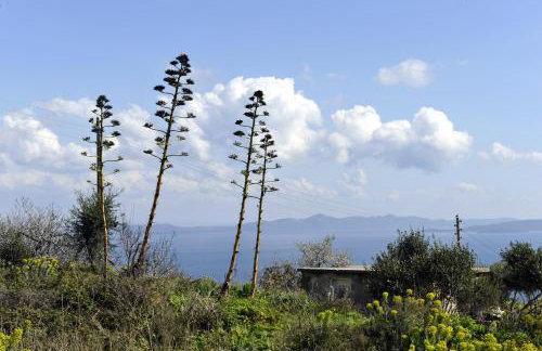 The House Aunt Regina - Foto 21