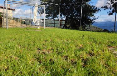 A Casa da Japoneira CB - Foto 48