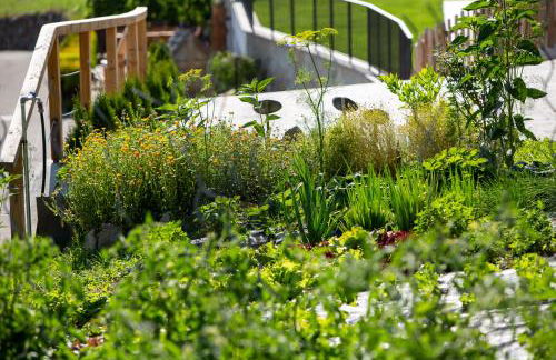 Haidgerberhof - apartments & homemade food - Foto 70