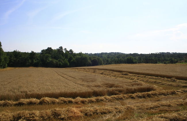 Ô bois dormant - Foto 48