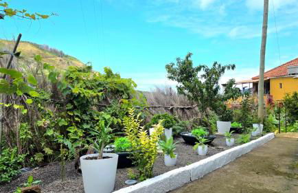 The North Paradise - Porto Moniz - Foto 66