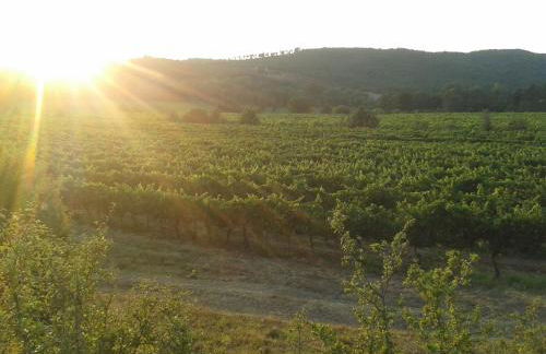 Appartamento in Villa - Foto 30