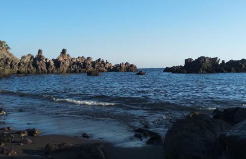 Terraza Alcalá - Photo 36