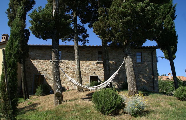 Holiday Home in Montecarelli With Pool - Photo 10