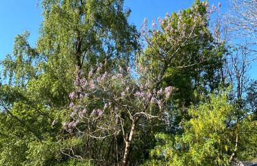 Mawddach View, Snowdonia Hot tub & Pet friendly - Foto 28