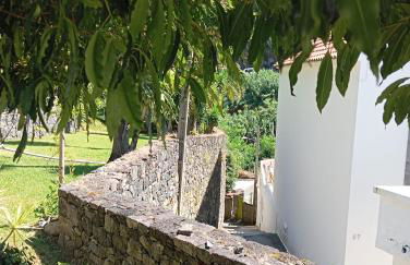 Ribeira da Praia House - Photo 34