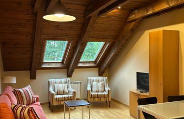 Aparthotel Siente Boí & Spa - Photo 22