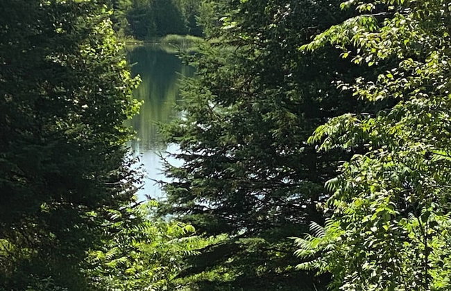 Le Ptit Canada Escape - Foto 18
