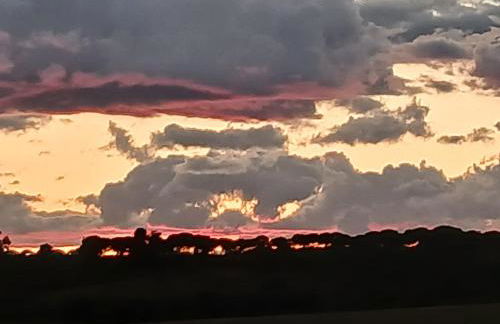 La Casita en finca La Guindilla - Foto 15