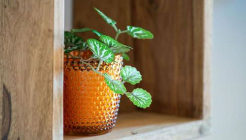 Ferienwohnung Schäferhütte - Foto 4