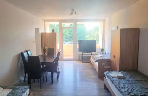 Spacious 4-Bedroom Apartment with Balcony near Frankfurt - Foto 6