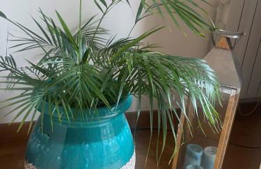 Paris & Versailles at your feet! Shared room in nice house - Foto 5