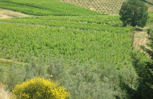 Podere Ghiole - Foto 24