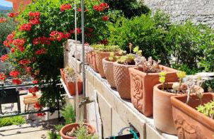 Apartment Alena with terrace and garden Center Jelsa - Photo 29