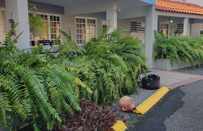 Playa icacos - Photo 21