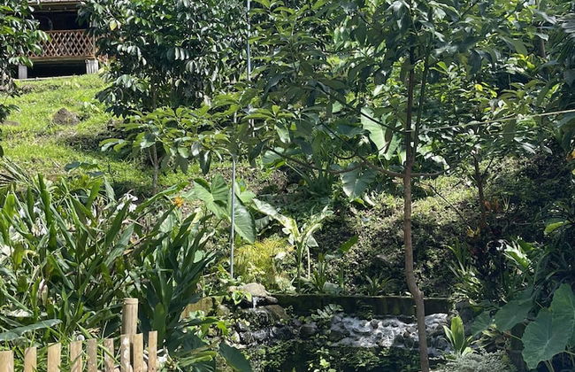 The Twin Studio Cottages - Foto 39