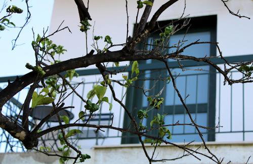 CHOÉ house - Foto 32