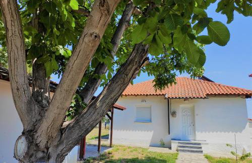 White Clam Vintage House with sea view & garden - Photo 1