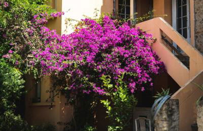 Le jardin des vignes - Foto 30