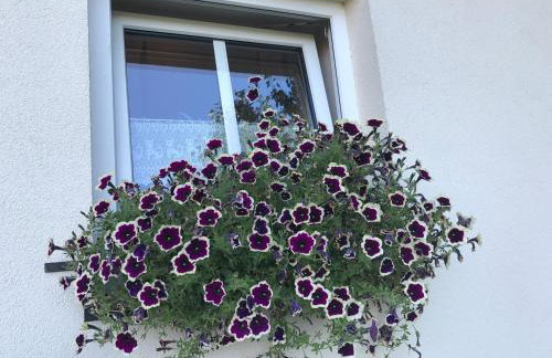 Andrzejówka - Photo 76