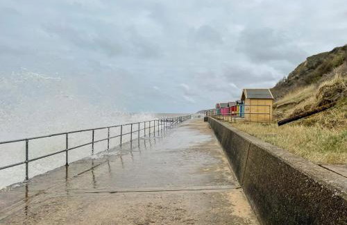 Coral House - Photo 47