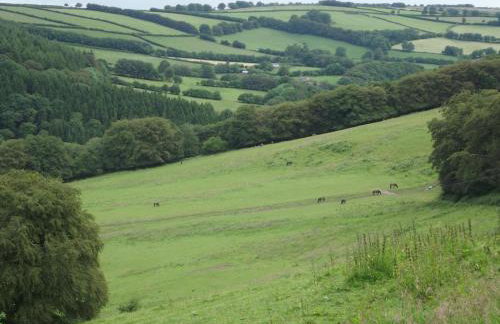 2 Bed in Dulverton oc-90558 - Foto 16