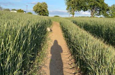 Neu möbliertes 1 - Zimmerapartment mitten in der Natur - Foto 9