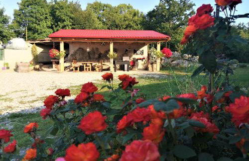 VILLA SALVIA - Holiday house with pool - - Foto 45