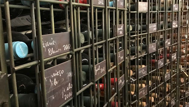 Visita a las Bodegas Viñátigo - Foto 5, Nos adentraremos en el fascinante mundo de la viticultura