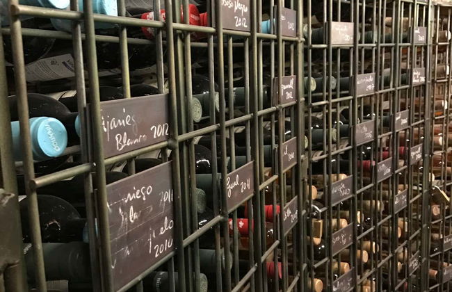 Visita às Bodegas Viñátigo - Foto 5