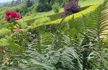 Chalet la poipia - Foto 25