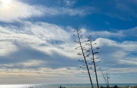 Apartamento precioso en primera línea de mar - Foto 7