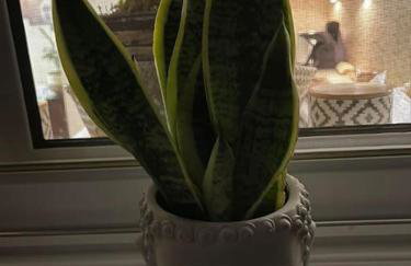 newly built apartment with amazing view - Foto 51