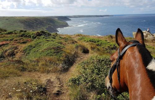 Cape Cornwall Pod with vast sea views - Foto 13