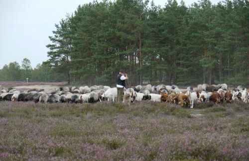 Familienhaus - Foto 29