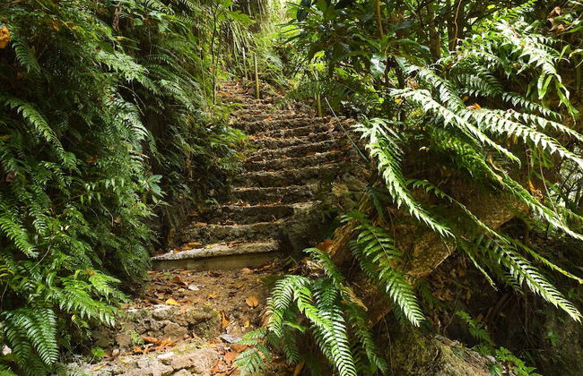 Eden on the River - Foto 38