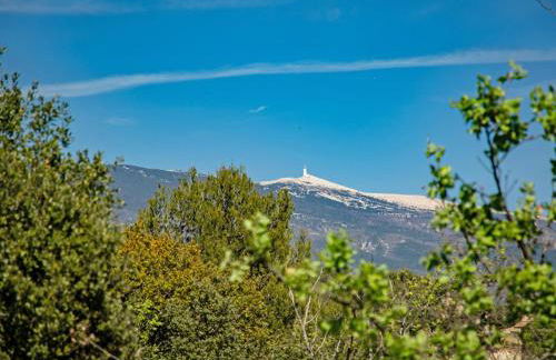 Villa Cantirane - Foto 51