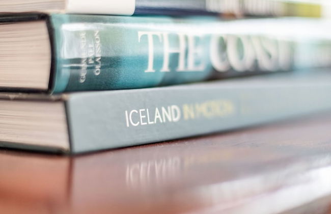 ICELAND SJF Villa , Hot tub & Outdoor Sauna Amazing Mountains View - 15 min to downtown - Foto 28